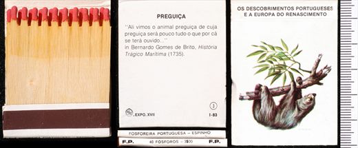 Carteira 03