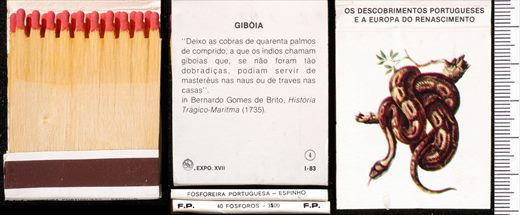 Carteira 04