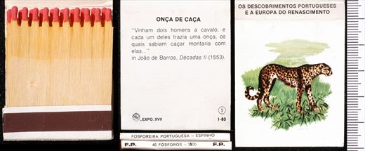 Carteira 05