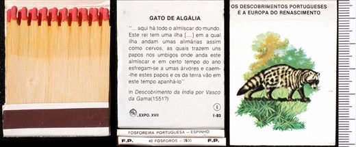 Carteira 06