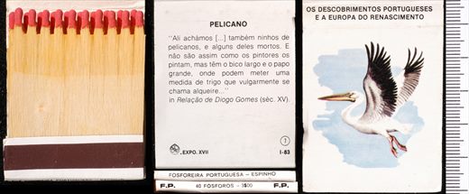 Carteira 07