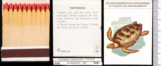 Carteira 08