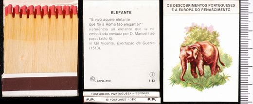 Carteira 09