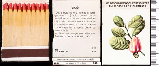 Carteira 11
