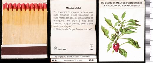 Carteira 13