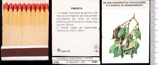 Carteira 14