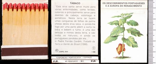 Carteira 15