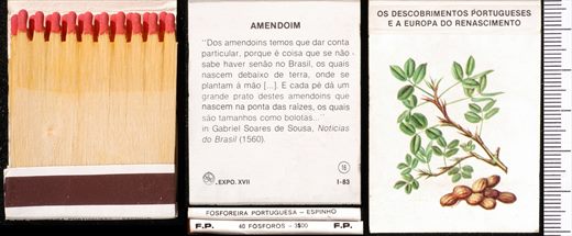 Carteira 16
