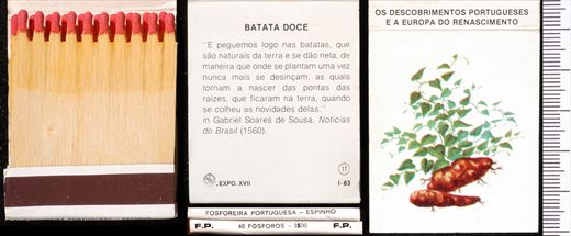 Carteira 17