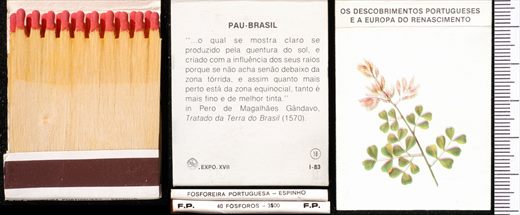 Carteira 18