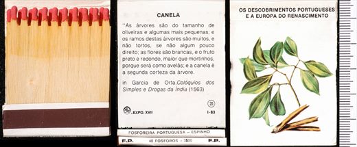Carteira 20
