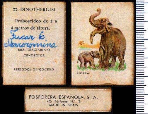 Prehistoria (FESA) 22