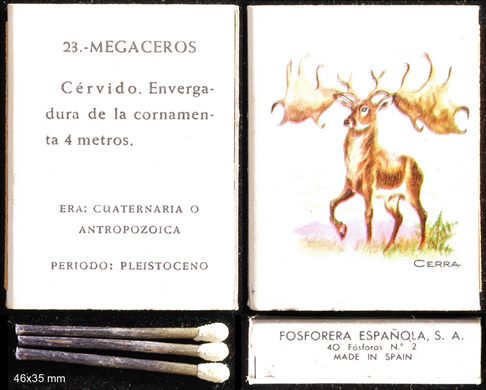 Prehistoria (FESA) 23