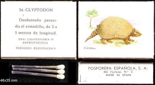 Prehistoria (FESA) 24