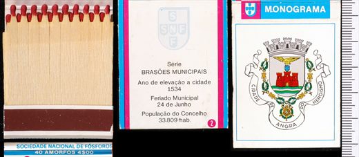 Brasoes Municipais - Monograma (SNF) 02 (1)