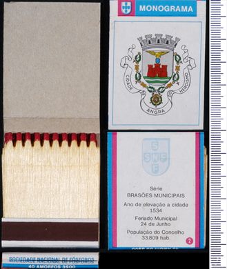 Brasoes Municipais - Monograma (SNF) 02 (2)