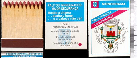 Brasoes Municipais - Monograma (SNF) 02 (3)