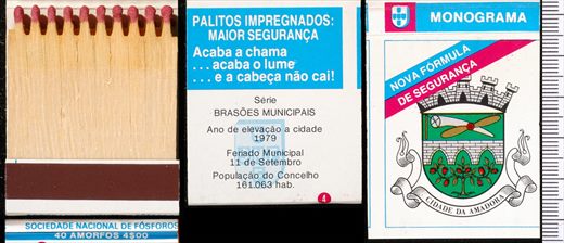 Brasoes Municipais - Monograma (SNF) 04 (3)