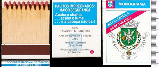 Brasoes Municipais - Monograma (SNF) 05 (4)