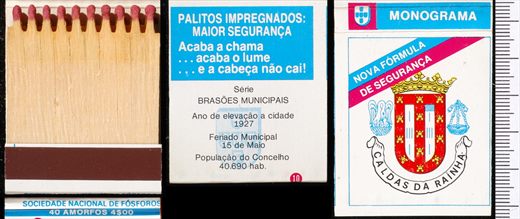 Brasoes Municipais - Monograma (SNF) 10 (2)