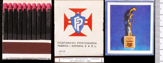 Fosforeira Portuguesa - Espinho roxo (FP-Espinho)
