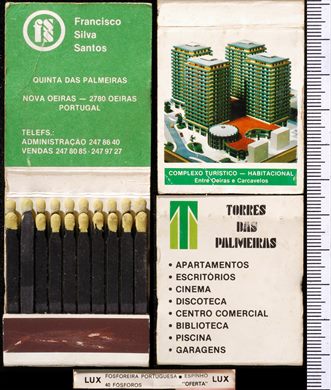 Francisco Silva Santos - Torres das Palmeiras (FP-Espinho)
