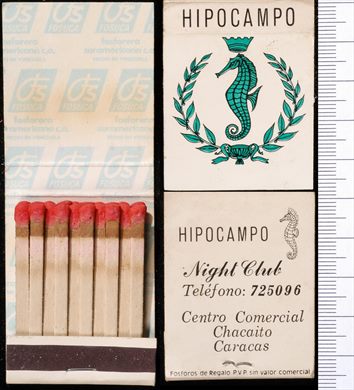 Hipocampo Night Club (FOSUCA)