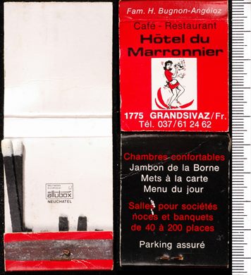 Hotel du Marronnier (Allubox)