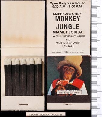 Monkey Jungle (Superior)