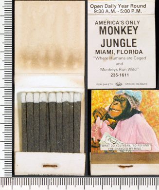 Monkey Jungle - Miami Florida (Superior)