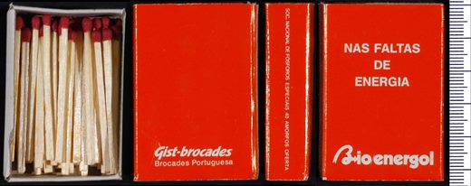 Bioenergol - Gist-brocades (SNF)