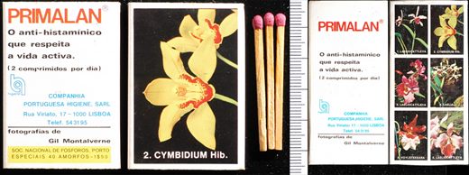 Primalan 02