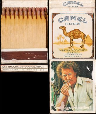 Camel 02