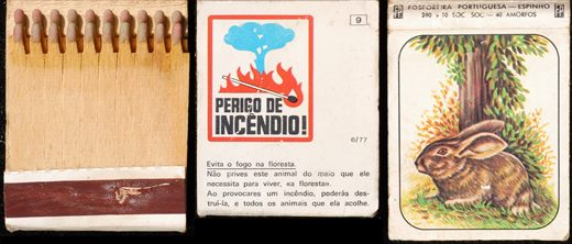 Perigo de Incendio (branco) (FP-Espinho) 09