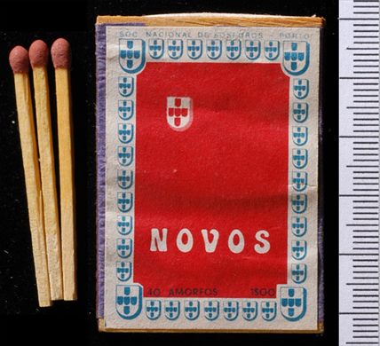 Novos (SNF-Porto)