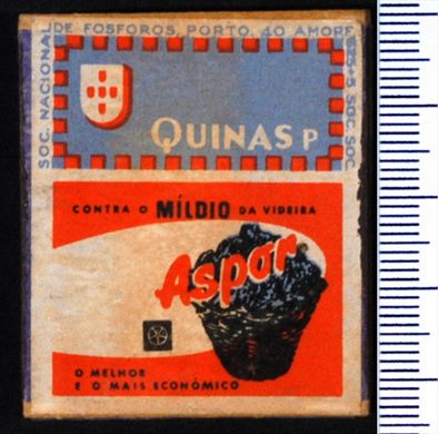 Quinas P - Aspar (SNF-Porto)