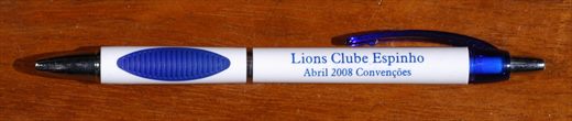 Lions Clube Espinho - Convencoes Abril 2008