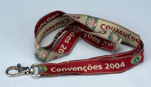 Lions Convencoes 2004