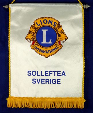 Suecia - Solleftea - D101 N