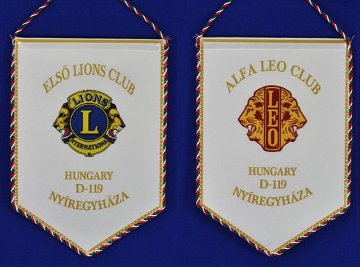 Hungria - Nyiregyhaza Elso - Elso Nyiregyhaza Alfa - D119