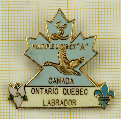 Canada-Ontario Quebec Labrador - Distrito Multiplo - A Lioness Ganso