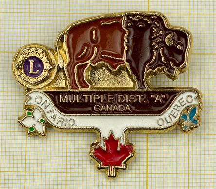 Canada-Ontario Quebec - Distrito Multiplo - A - Bisontete