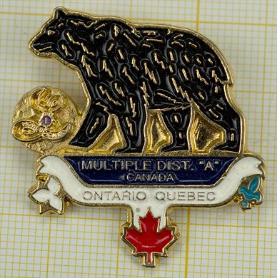 Canada-Ontario Quebec - Distrito Multiplo - A - Lioness - Urso