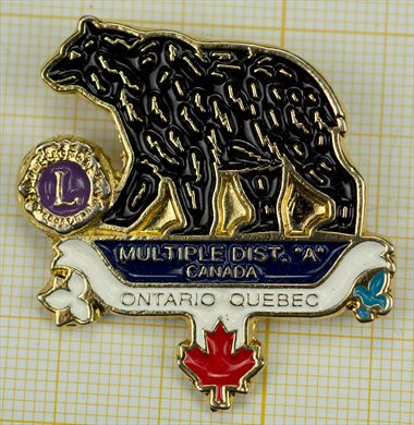 Canada-Ontario Quebec - Distrito Multiplo - A - Urso