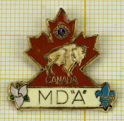 Canada - Distrito Multiplo - A Bisontete
