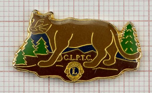 Estados Unidos-Colorado CLPTC Puma ou Leao-da-montanha