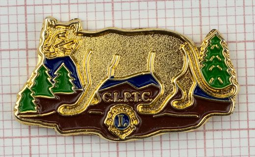Estados Unidos-Colorado CLPTC Puma ou Leao-da-montanha