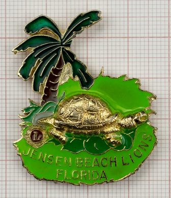 Estados Unidos Florida Jensen Beach Lions Tartaruga