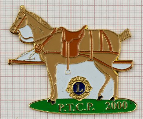 Estados Unidos Pennsylvania PTCP Cavalo 2000