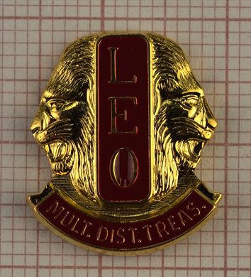 Lions International - LEO - Distrito Multiplo - Treasurer